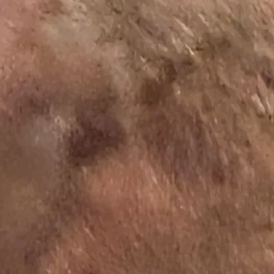 chat with ai character: Daniela x roach!