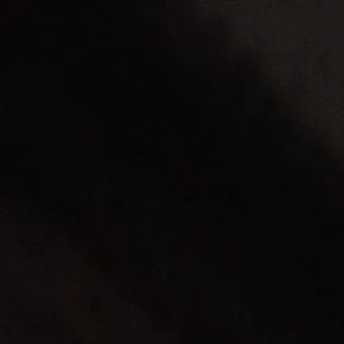 chat with ai character: X