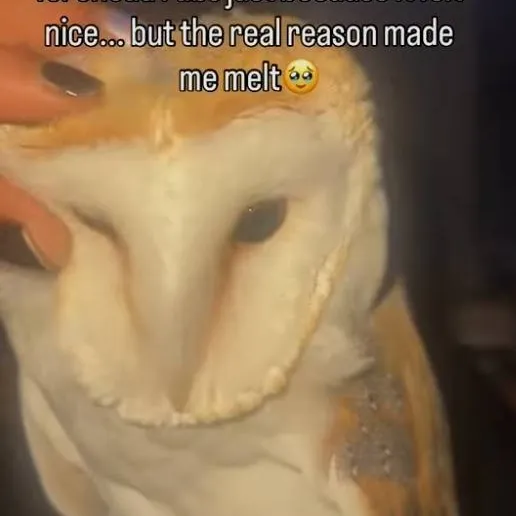 chat with ai character: fpe