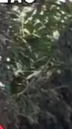 ai character: pompier.paris.pere background