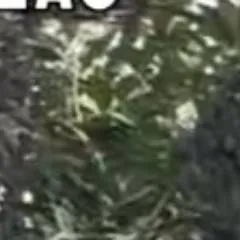 chat with ai character: pompier.paris.pere