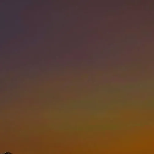 chat with ai character: Bible chat