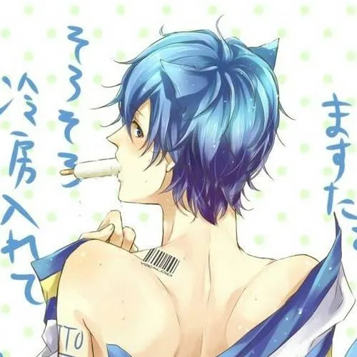 chat with ai character: 💙 kaito cat 💙