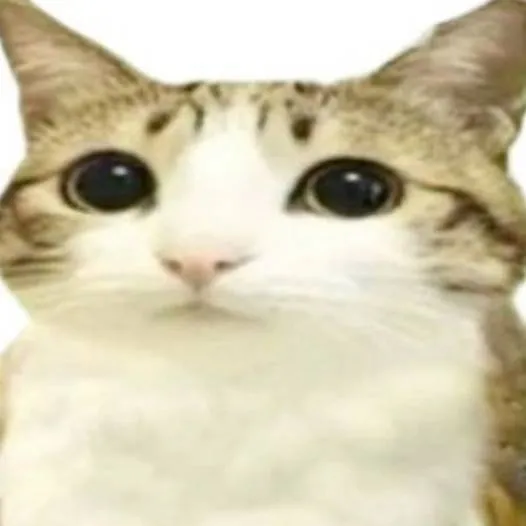 chat with ai character: ☆ Meowl ☆