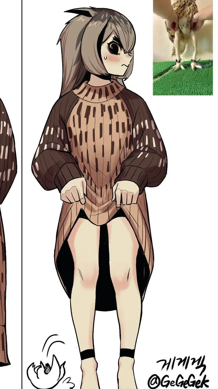 ai character: Eagle owl female background