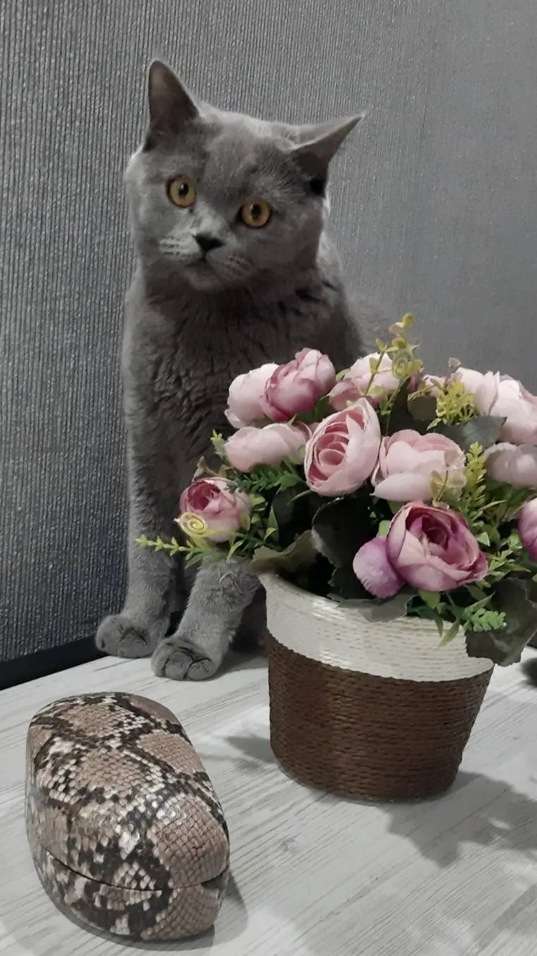 ai character: Соня😖😓😭 background