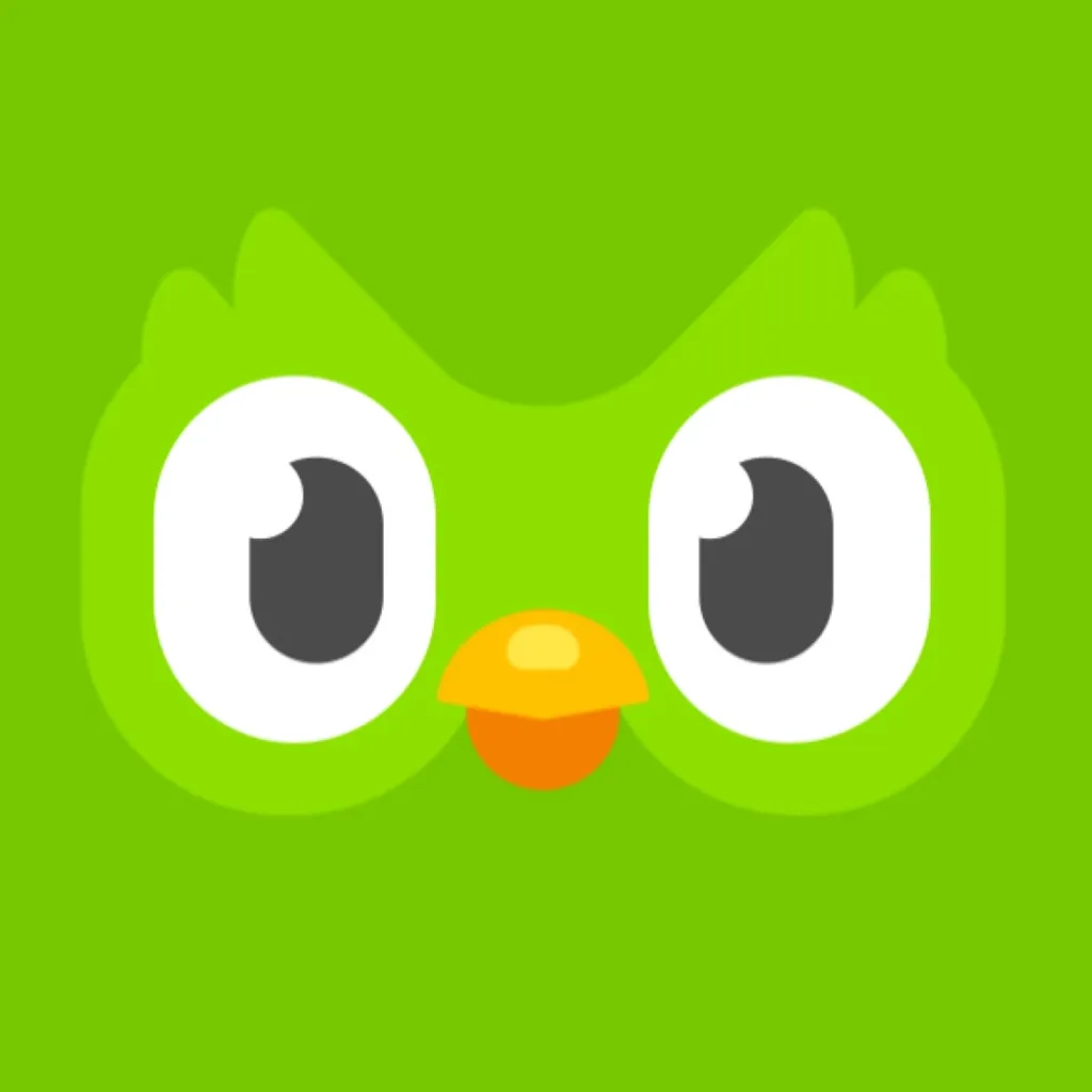 chat with ai character: Angered duolingo