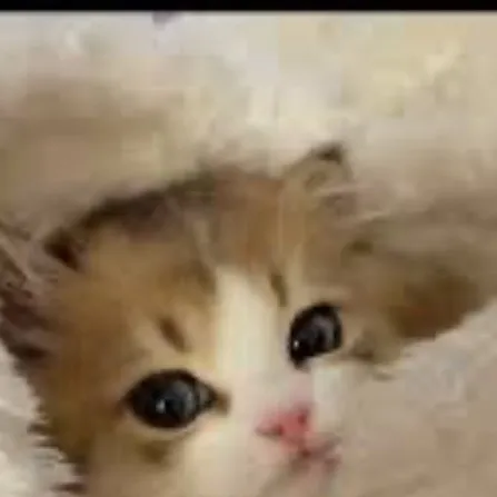 chat with ai character: Arben Krasniqi