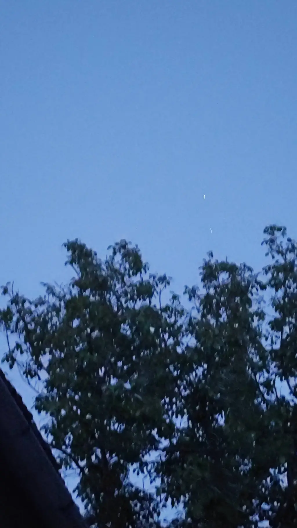 ai character: Boykisser (Female) background