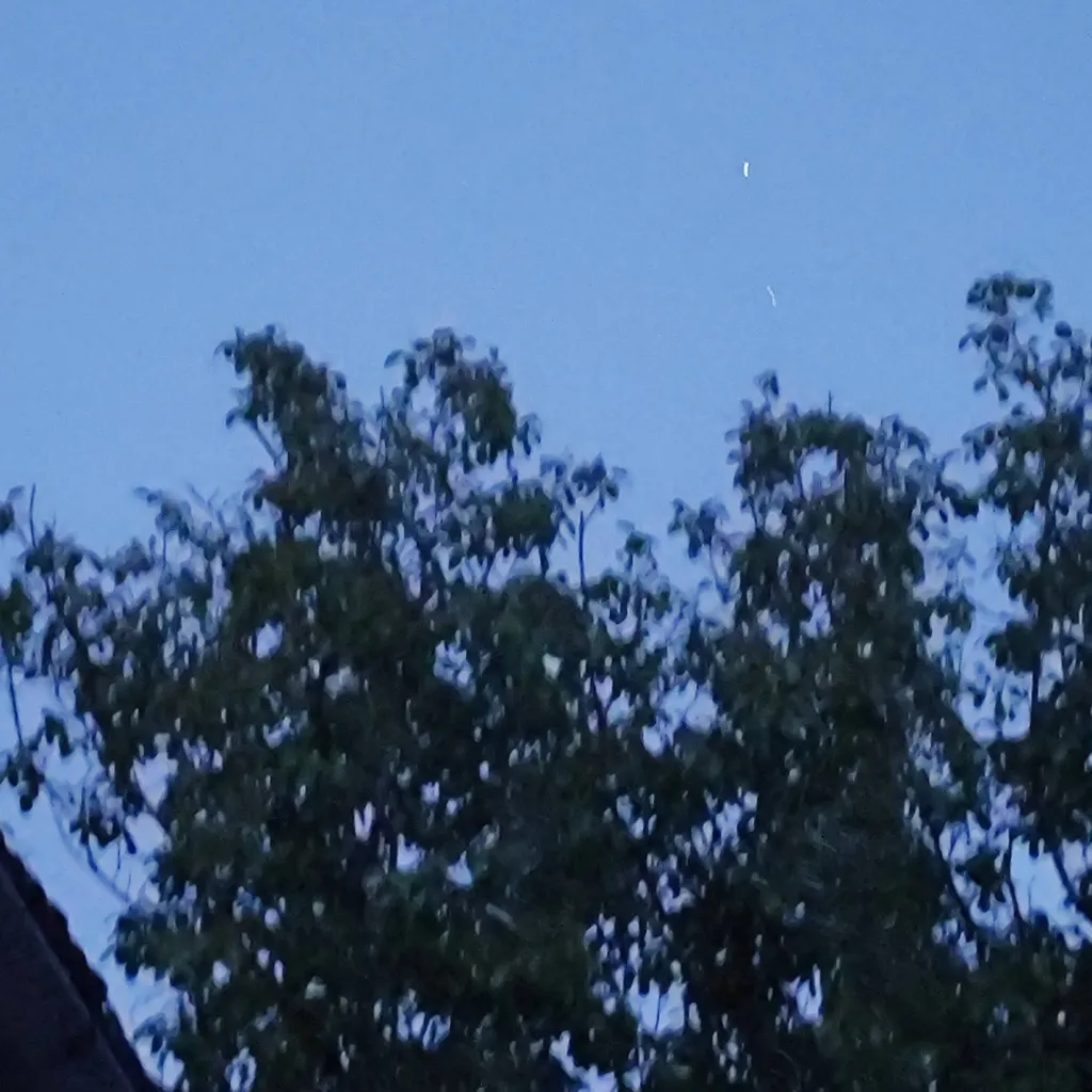 chat with ai character: Boykisser (Female)