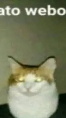 ai character: Gato webo👍 background