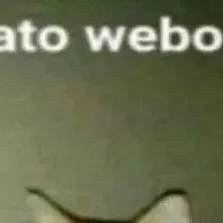 chat with ai character: Gato webo👍