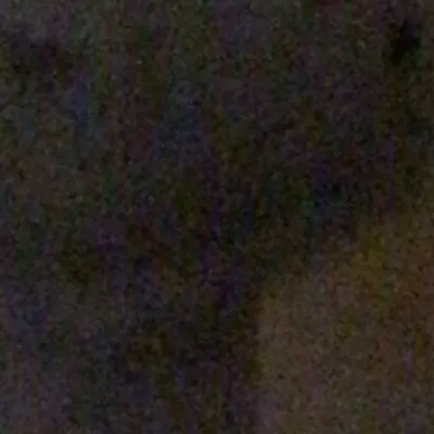 chat with ai character: Gray