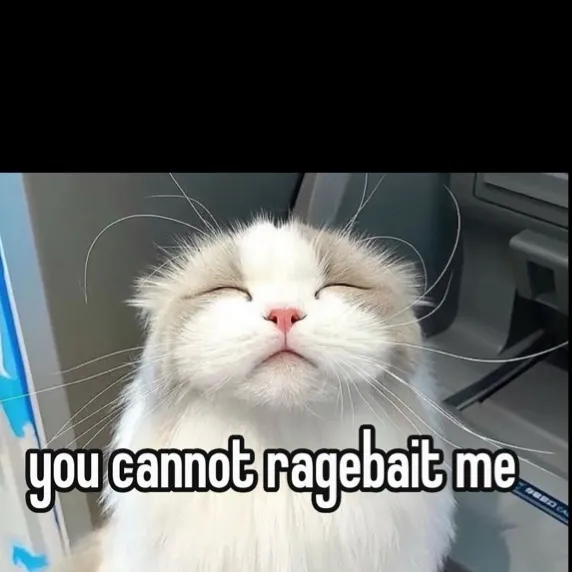 chat with ai character: Can't rage bait me