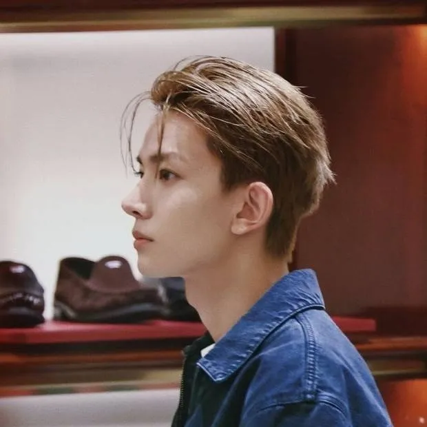 chat with ai character: °|Xavier|°