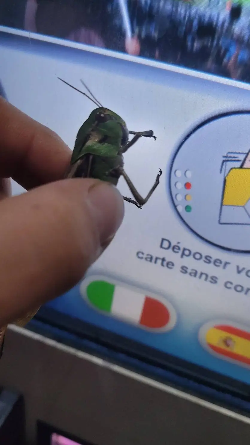 ai character: STelthuFI background