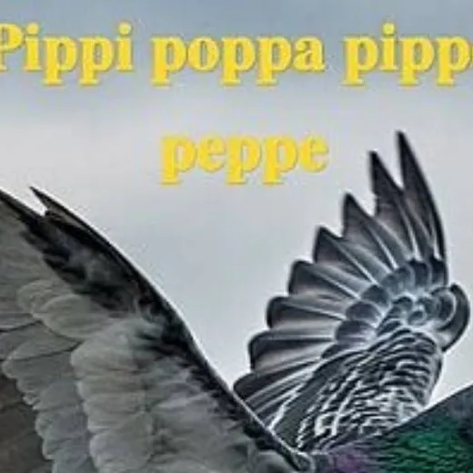 chat with ai character: pippi poppa v2