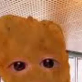 chat with ai character: Ur ocs in ur home!