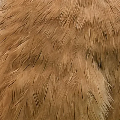 chat with ai character: Ave Barulhenta