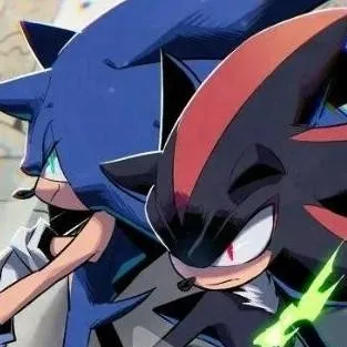 chat with ai character: Sonic and Shadow 