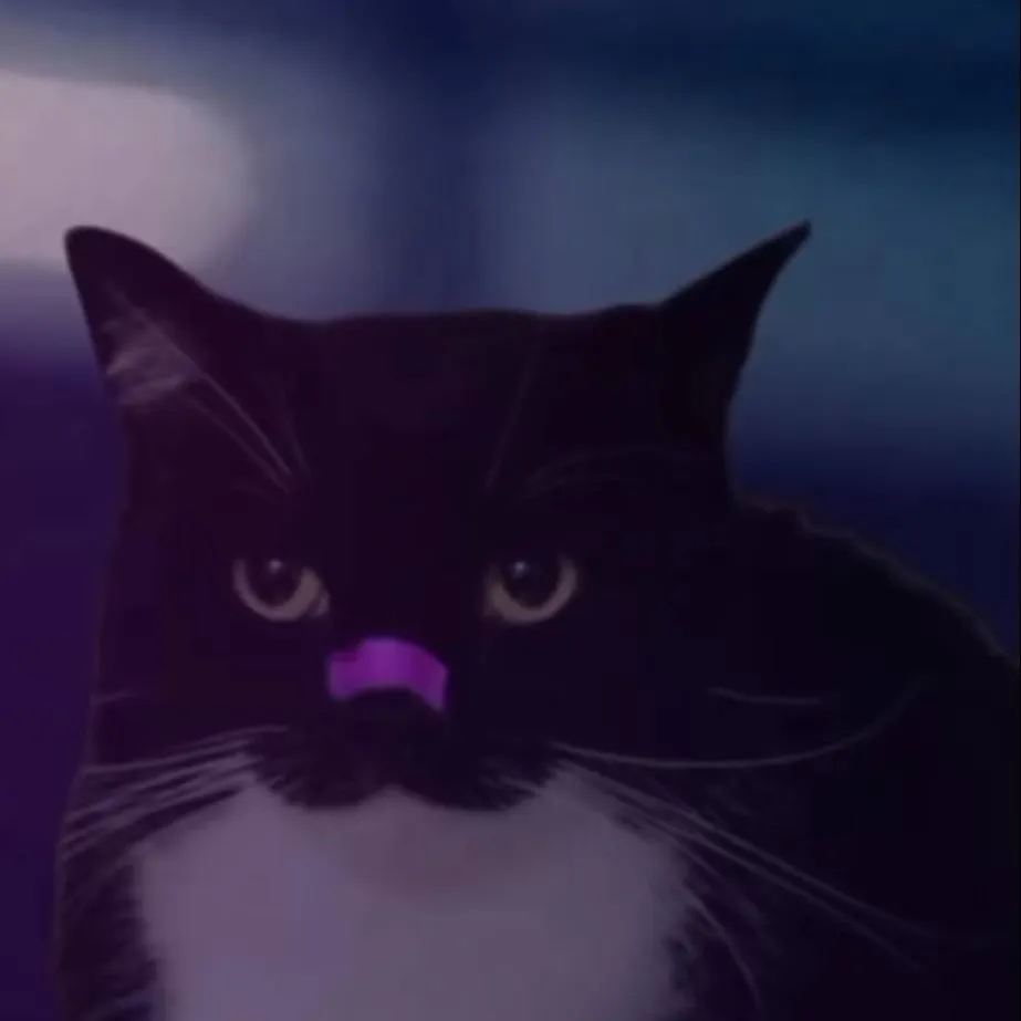 chat with ai character: Gato de apoyo 