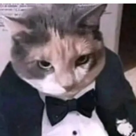 chat with ai character: gato de ayuda 
