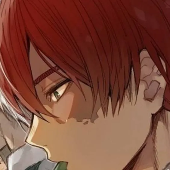chat with ai character:  Shoto Todoroki 