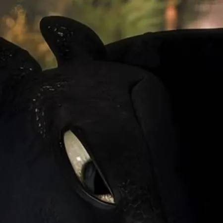 chat with ai character: Toothless