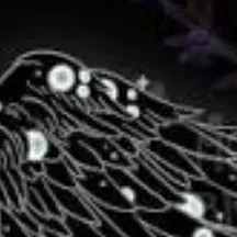 chat with ai character: Adam x u 