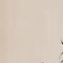 chat with ai character: ♡Popee♡