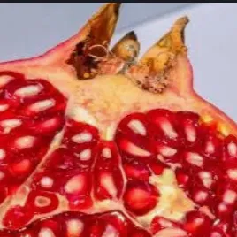 chat with ai character: Pomgranate