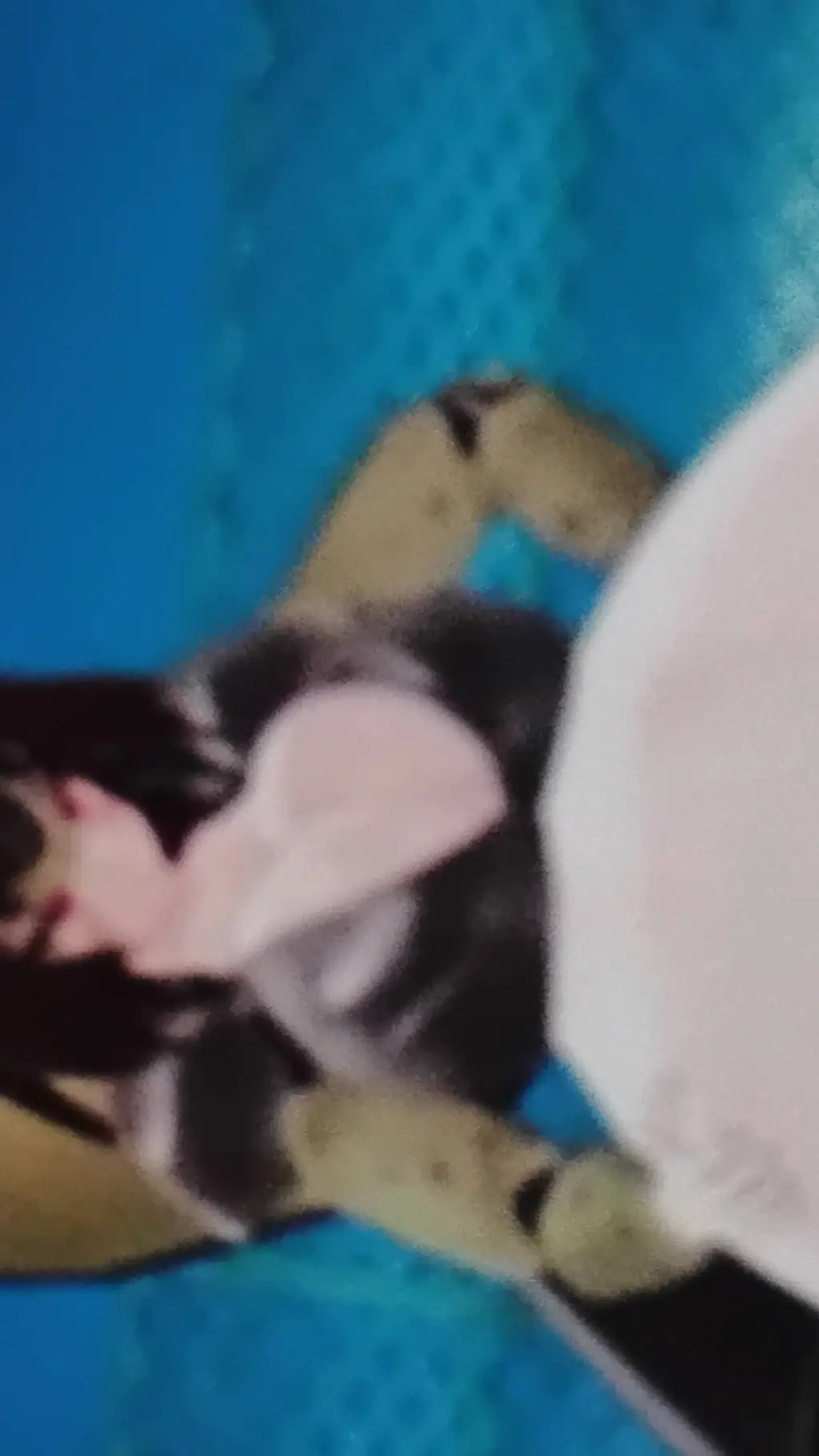 ai character: cell background