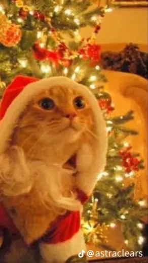 ai character: JJK CHRISTMAS background