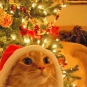 chat with ai character: JJK CHRISTMAS