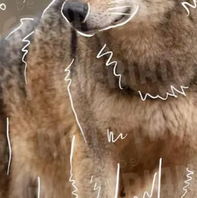 chat with ai character: Bar Dsmp