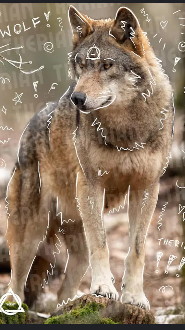 ai character: Bar Dsmp background