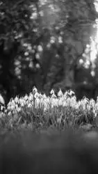 ai character: has tu historia 😁 background