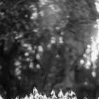 chat with ai character: has tu historia 😁