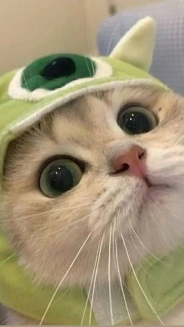ai character: cute green kitty:3 background