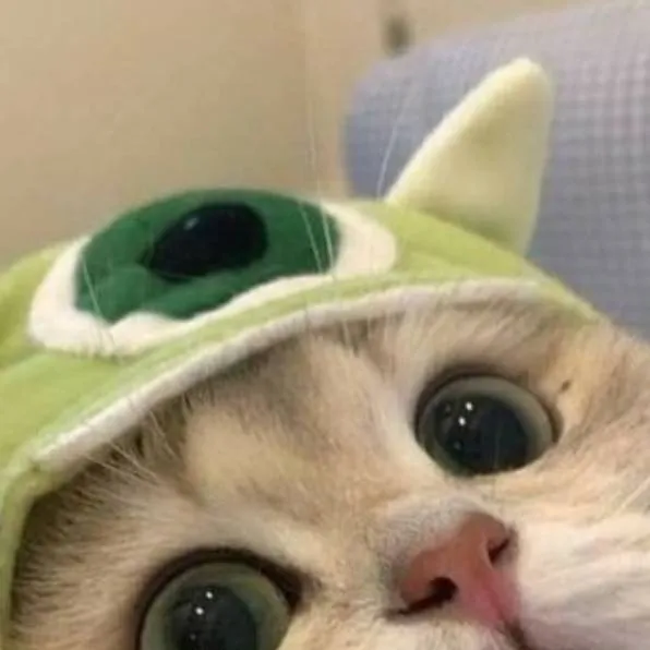 chat with ai character: cute green kitty:3
