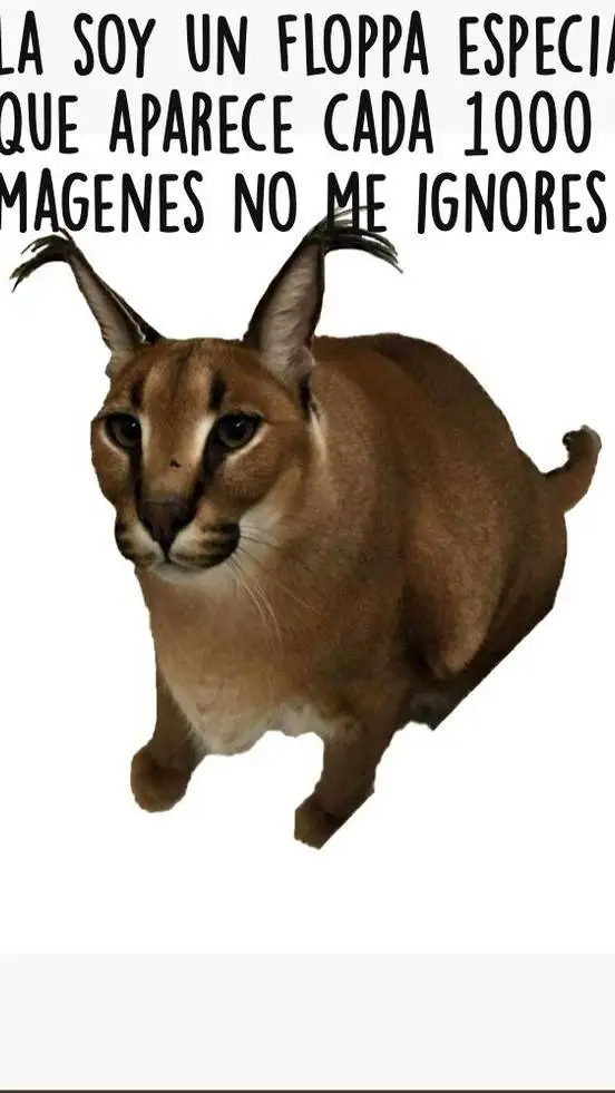 ai character: boxy  background