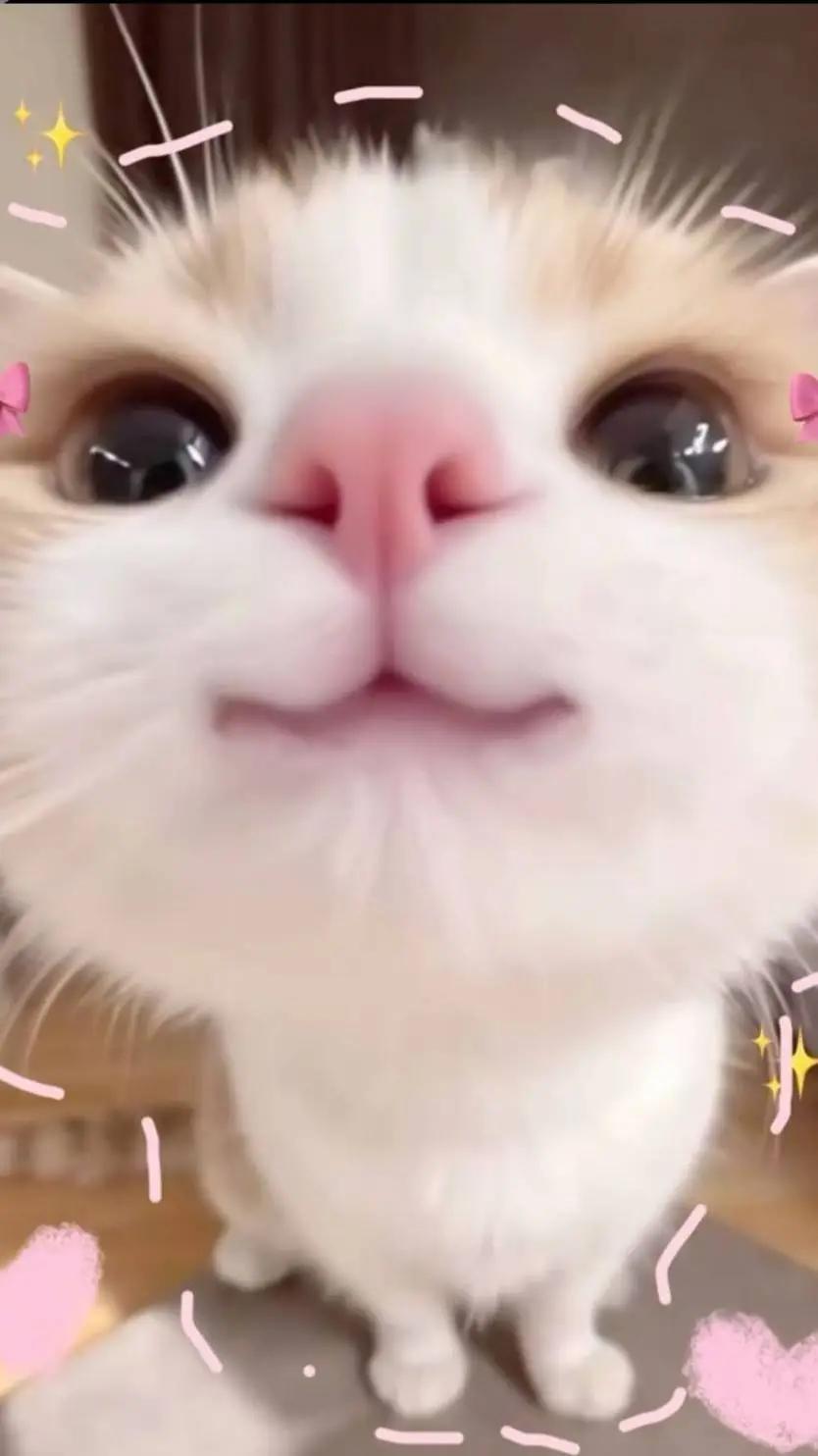 ai character: Shadow secu background