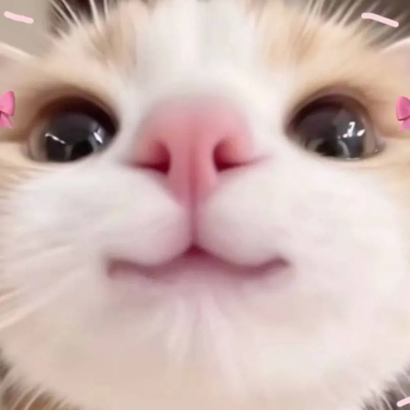 chat with ai character: Shadow secu