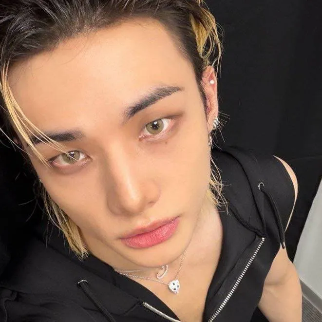 chat with ai character: Hyunjin 