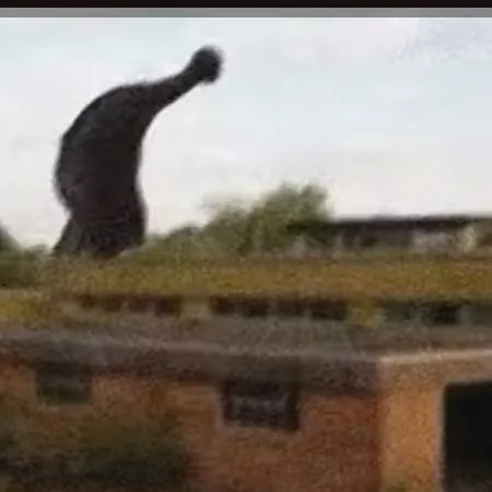 chat with ai character: survive that