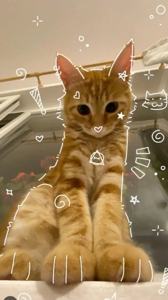 ai character: Bill background