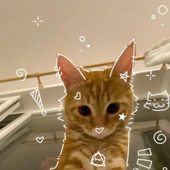 chat with ai character: Bill