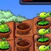 chat with ai character: roof level!