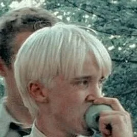 chat with ai character: Draco Malfoy