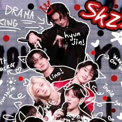 chat with ai character: Skz (Stray kids)